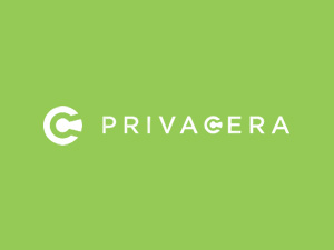 Privacera-Portfolio-GreenBG
