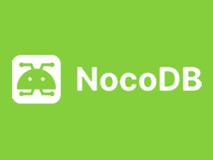 NocoDB-logo_white-on-green