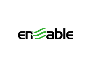 enable-portfolio-logo-color